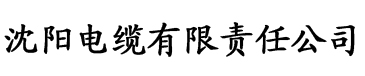 天天爱天天做天天女狠狠电缆厂logo